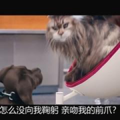 猫狗大乱斗 - p172606472021373846.jpg