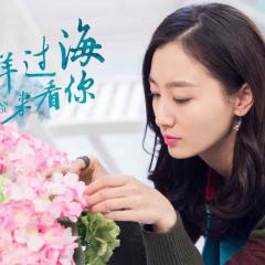 漂洋过海来看你 - vBtjk2xTqu4lxzM002pF2tplz5G.jpg