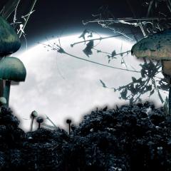 死神蘑菇 - 5orz8ty5mpWG8DauKZwxg0rxx9y.jpg
